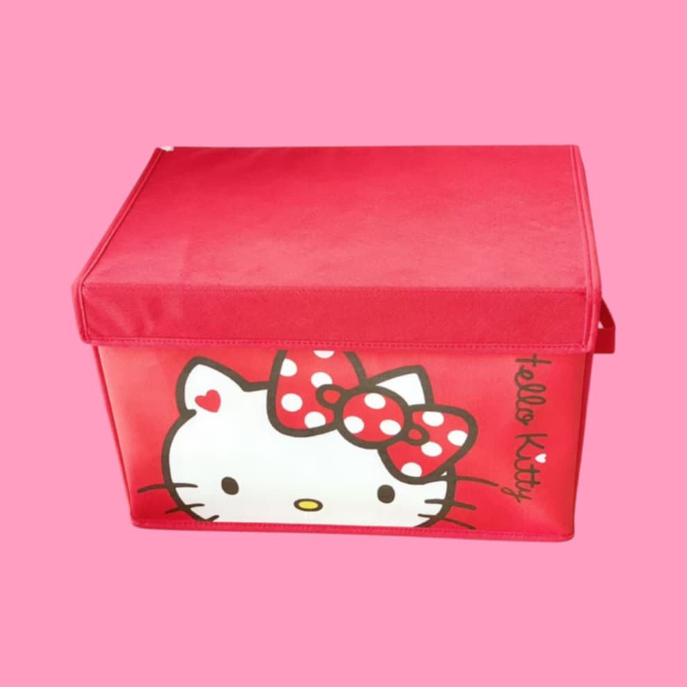 Sanrio Character Cube Organizer